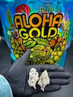 Aloha Gold Snow Cap Flower